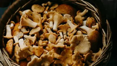 Irina Iriser Cestino con funghi